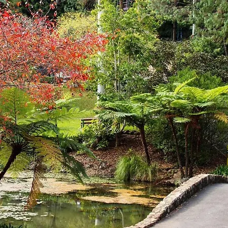 Treetops Tamborine Mountain Exterior photo